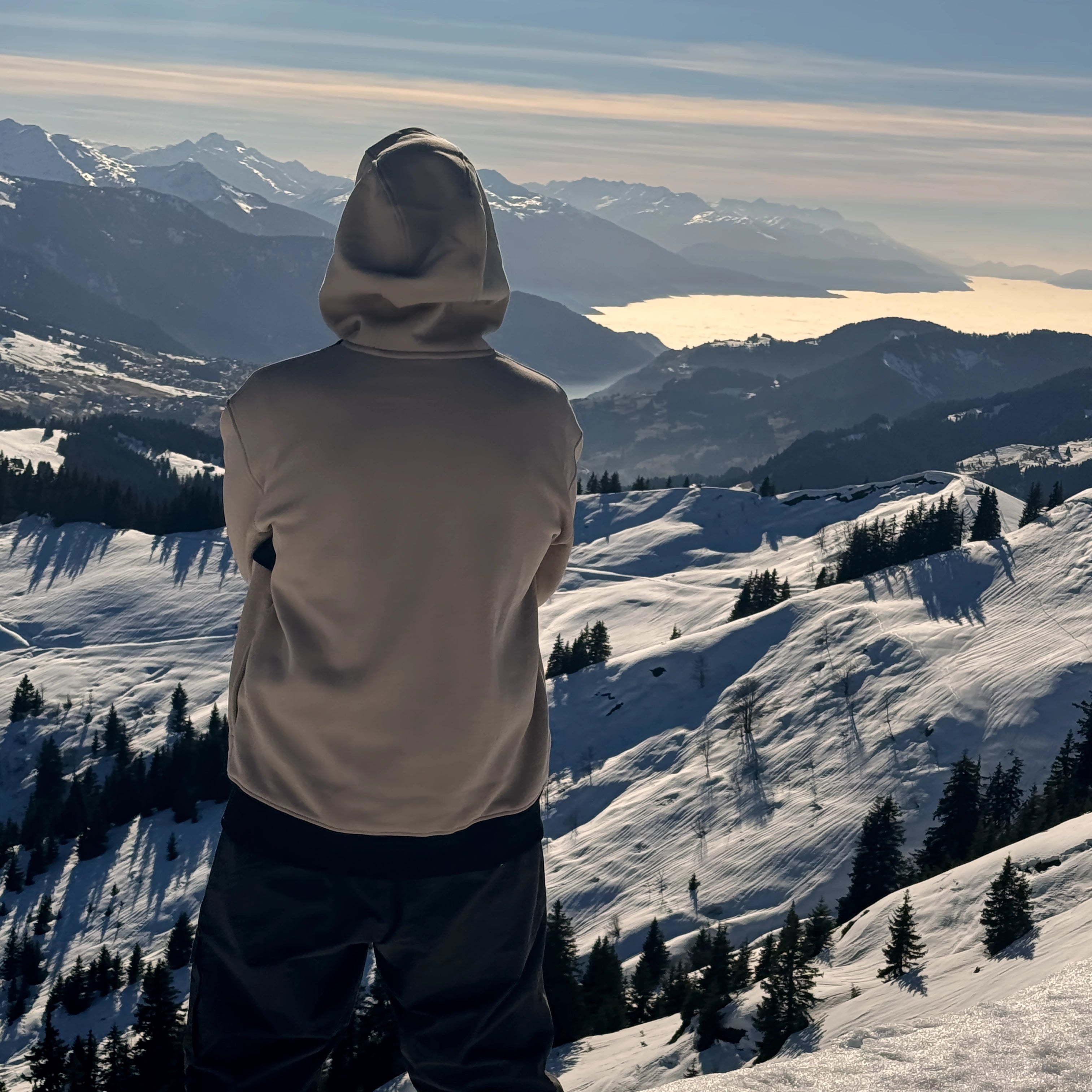 Sweatshirt à capuche oversize - hoodie rōoted noir et beige